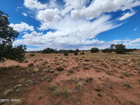Photo of 5386 County Road N5386, Saint Johns, AZ 85936 (MLS # 258045)