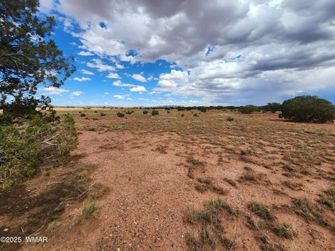 Tiny photo for 5386 County Road N5386, Saint Johns, AZ 85936 (MLS # 258045)
