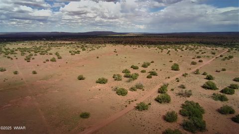 Tiny photo for 5386 County Road N5386, Saint Johns, AZ 85936 (MLS # 258045)