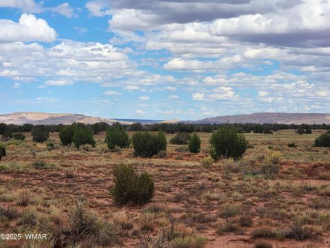 Tiny photo for 5386 County Road N5386, Saint Johns, AZ 85936 (MLS # 258045)