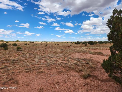 Tiny photo for 5386 County Road N5386, Saint Johns, AZ 85936 (MLS # 258045)