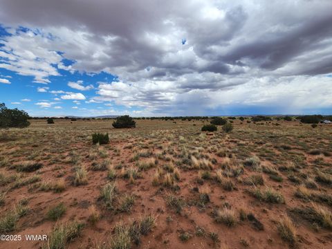 Tiny photo for 5386 County Road N5386, Saint Johns, AZ 85936 (MLS # 258045)