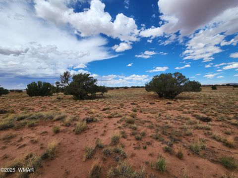 Tiny photo for 5386 County Road N5386, Saint Johns, AZ 85936 (MLS # 258045)