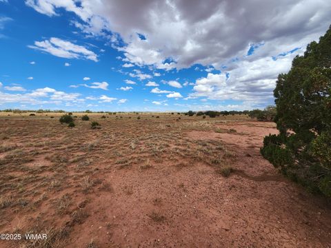 Tiny photo for 5386 County Road N5386, Saint Johns, AZ 85936 (MLS # 258045)