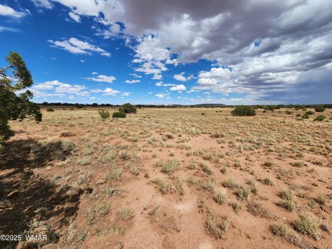 Tiny photo for 5386 County Road N5386, Saint Johns, AZ 85936 (MLS # 258045)