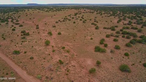 Tiny photo for 5386 County Road N5386, Saint Johns, AZ 85936 (MLS # 258045)