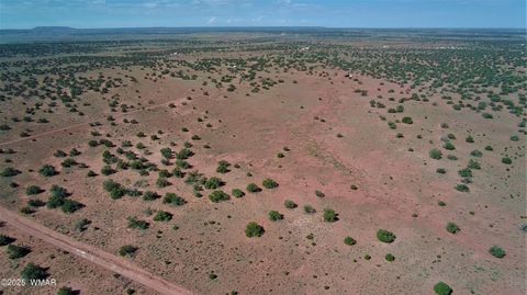 Tiny photo for 5386 County Road N5386, Saint Johns, AZ 85936 (MLS # 258045)