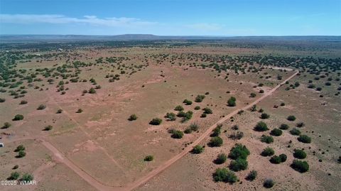 Tiny photo for 5386 County Road N5386, Saint Johns, AZ 85936 (MLS # 258045)