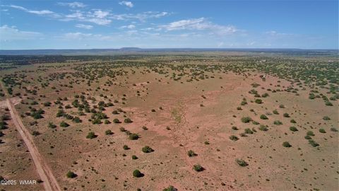 Tiny photo for 5386 County Road N5386, Saint Johns, AZ 85936 (MLS # 258045)