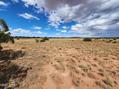 Tiny photo for 5386 County Road N5386, Saint Johns, AZ 85936 (MLS # 258045)