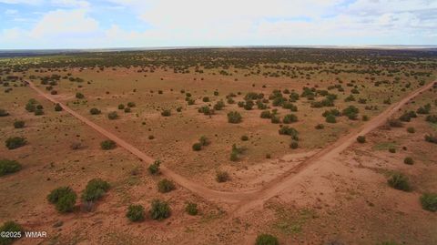 Tiny photo for 5386 County Road N5386, Saint Johns, AZ 85936 (MLS # 258045)