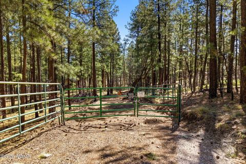 Photo of 11 County Road 2135, Alpine, AZ 85920 (MLS # 260358)
