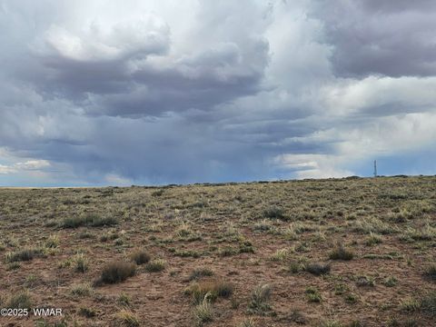 Tiny photo for tbd S Tovar Avenue, Holbrook, AZ 86025 (MLS # 241912)