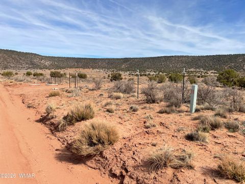 Tiny photo for 3977 E Aztec Road, Snowflake, AZ 85937 (MLS # 259846)