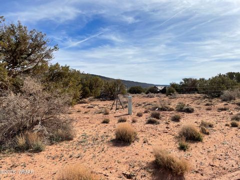 Photo of 3977 E Aztec Road, Snowflake, AZ 85937 (MLS # 259846)