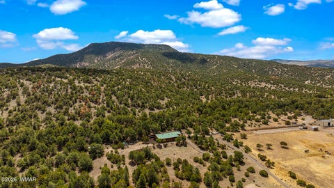 Tiny photo for 1395 E Central Avenue, Eagar, AZ 85925 (MLS # 260501)
