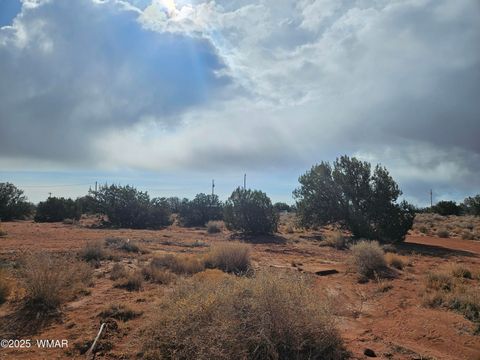 Tiny photo for 15 North 9079, Concho, AZ 85924 (MLS # 255284)