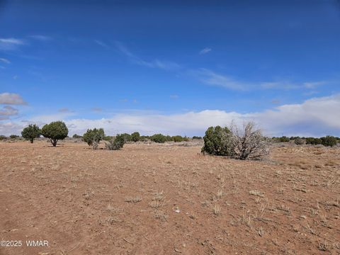 Tiny photo for 15 North 9079, Concho, AZ 85924 (MLS # 255284)