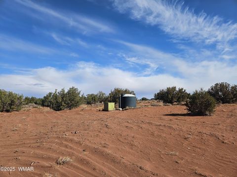 Tiny photo for 15 North 9079, Concho, AZ 85924 (MLS # 255284)