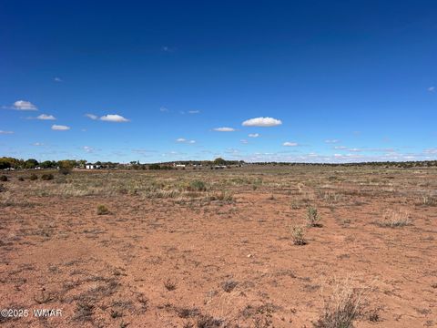 Tiny photo for 000 S Bourdon Ranch, Taylor, AZ 85939 (MLS # 258876)