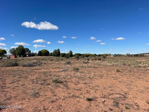 Tiny photo for 000 S Bourdon Ranch, Taylor, AZ 85939 (MLS # 258876)