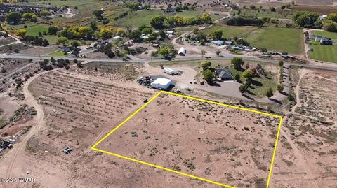 Tiny photo for 000 S Bourdon Ranch, Taylor, AZ 85939 (MLS # 258876)