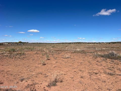 Tiny photo for 000 S Bourdon Ranch, Taylor, AZ 85939 (MLS # 258876)