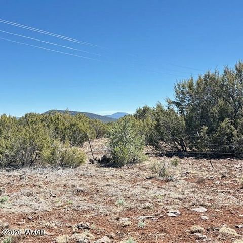 Tiny photo for TBD N3239, Vernon, AZ 85940 (MLS # 261734)