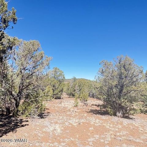 Tiny photo for TBD N3239, Vernon, AZ 85940 (MLS # 261734)