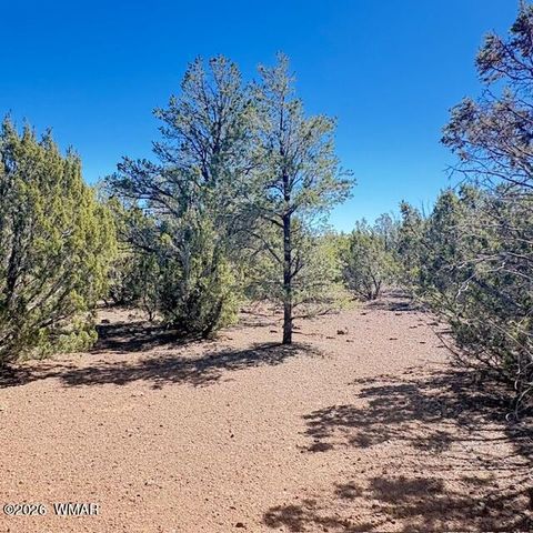 Tiny photo for TBD N3239, Vernon, AZ 85940 (MLS # 261734)