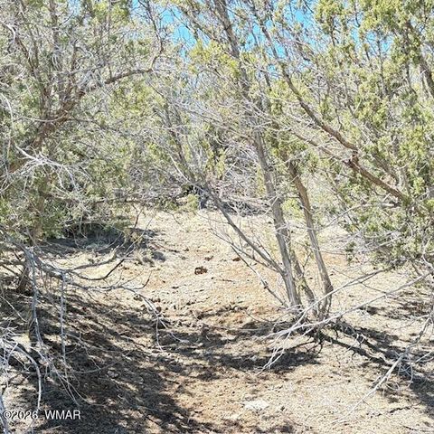 Tiny photo for TBD N3239, Vernon, AZ 85940 (MLS # 261734)