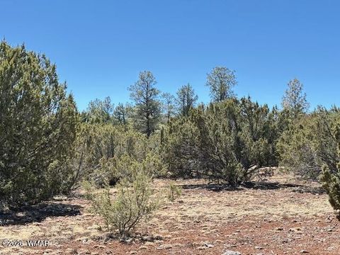 Tiny photo for TBD N3239, Vernon, AZ 85940 (MLS # 261734)