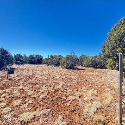 Tiny photo for TBD N3239, Vernon, AZ 85940 (MLS # 261734)