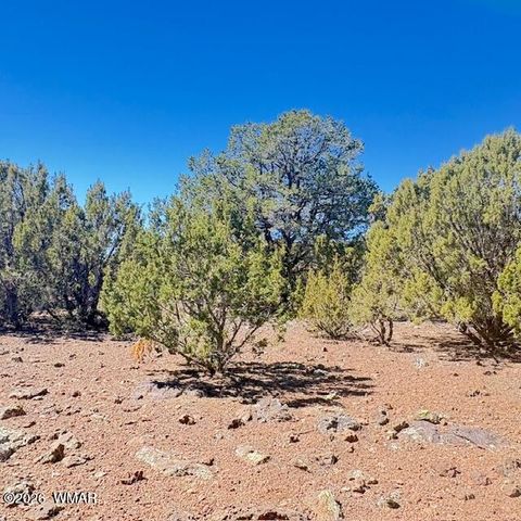 Tiny photo for TBD N3239, Vernon, AZ 85940 (MLS # 261734)