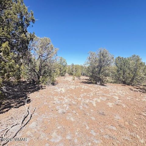Tiny photo for TBD N3239, Vernon, AZ 85940 (MLS # 261734)