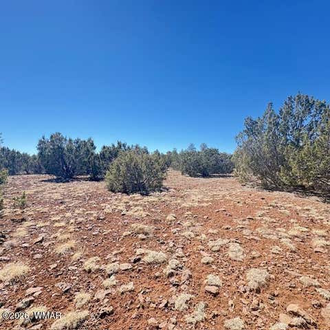 Tiny photo for TBD N3239, Vernon, AZ 85940 (MLS # 261734)