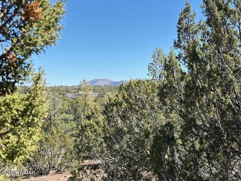 Photo of TBD N3239, Vernon, AZ 85940 (MLS # 261734)