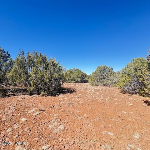 Tiny photo for TBD N3239, Vernon, AZ 85940 (MLS # 261734)