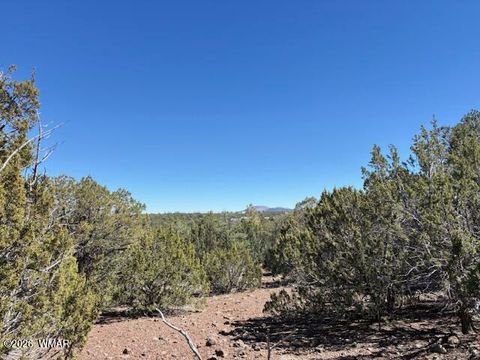 Tiny photo for TBD N3239, Vernon, AZ 85940 (MLS # 261734)