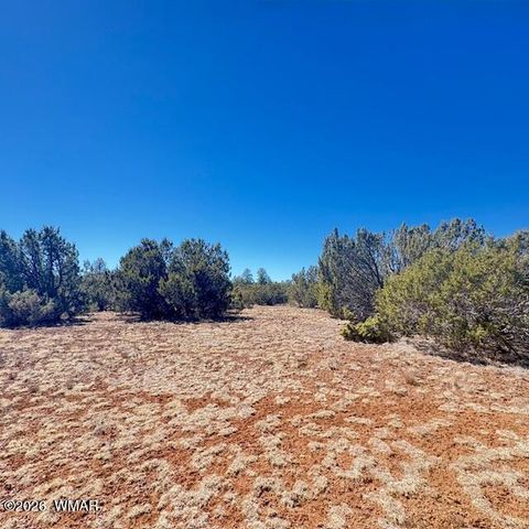 Tiny photo for TBD N3239, Vernon, AZ 85940 (MLS # 261734)