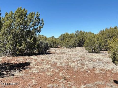 Tiny photo for TBD N3239, Vernon, AZ 85940 (MLS # 261734)