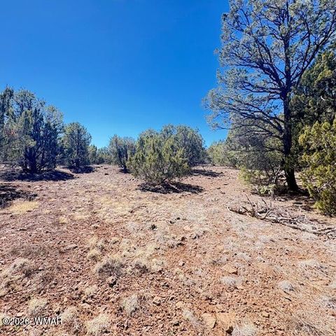 Tiny photo for TBD N3239, Vernon, AZ 85940 (MLS # 261734)