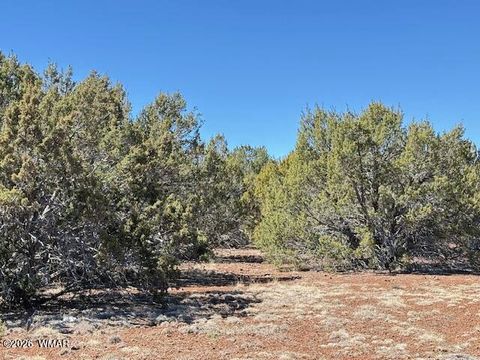 Tiny photo for TBD N3239, Vernon, AZ 85940 (MLS # 261734)