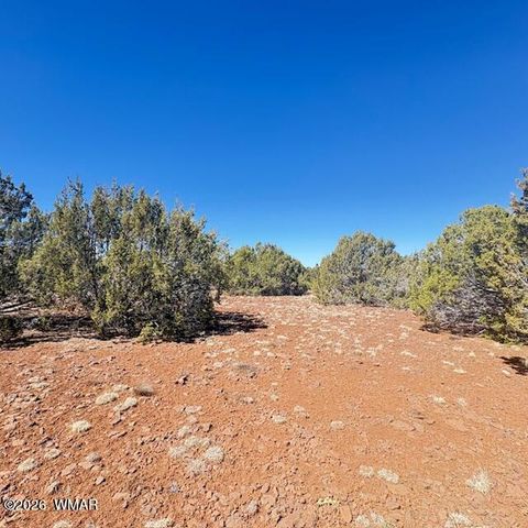 Tiny photo for TBD N3239, Vernon, AZ 85940 (MLS # 261734)