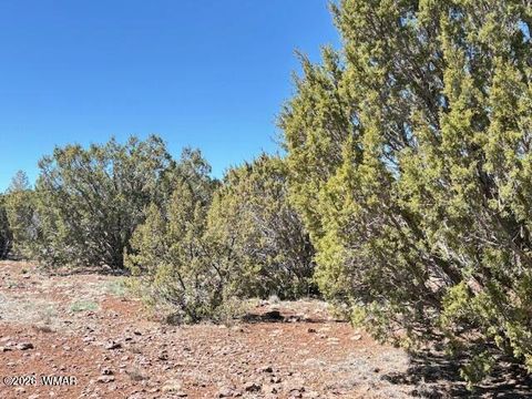 Tiny photo for TBD N3239, Vernon, AZ 85940 (MLS # 261734)