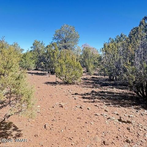 Tiny photo for TBD N3239, Vernon, AZ 85940 (MLS # 261734)