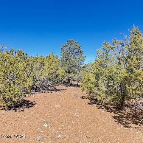Tiny photo for TBD N3239, Vernon, AZ 85940 (MLS # 261734)