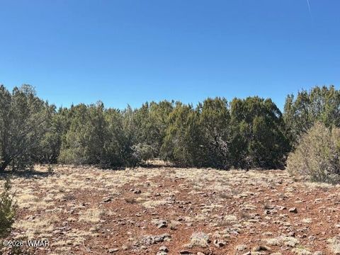 Tiny photo for TBD N3239, Vernon, AZ 85940 (MLS # 261734)