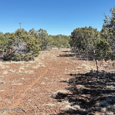 Tiny photo for TBD N3239, Vernon, AZ 85940 (MLS # 261734)