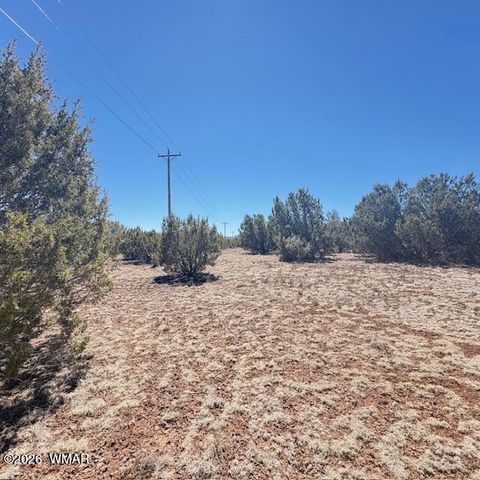 Tiny photo for TBD N3239, Vernon, AZ 85940 (MLS # 261734)